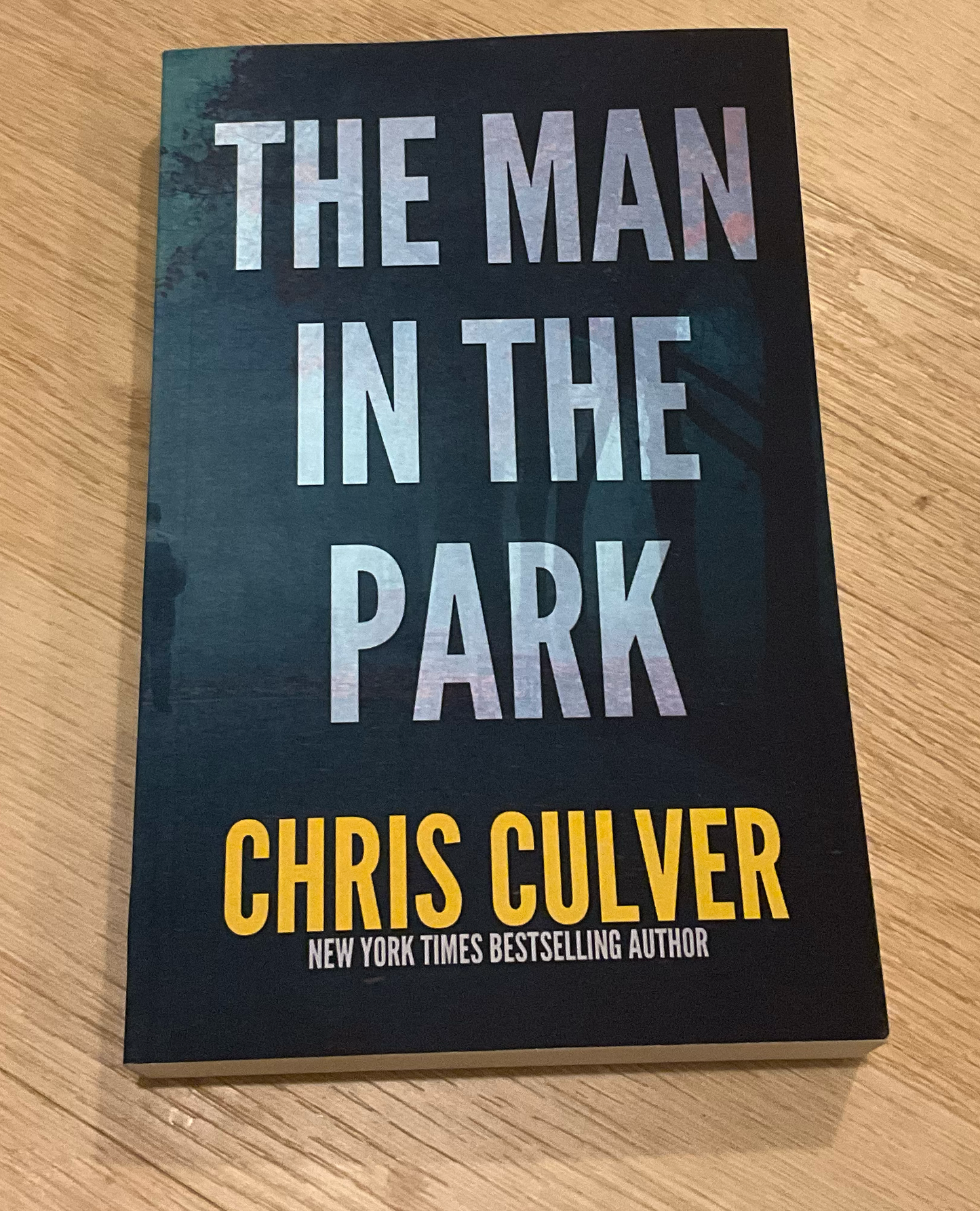 The Man in the Park - paperback - SECONDS