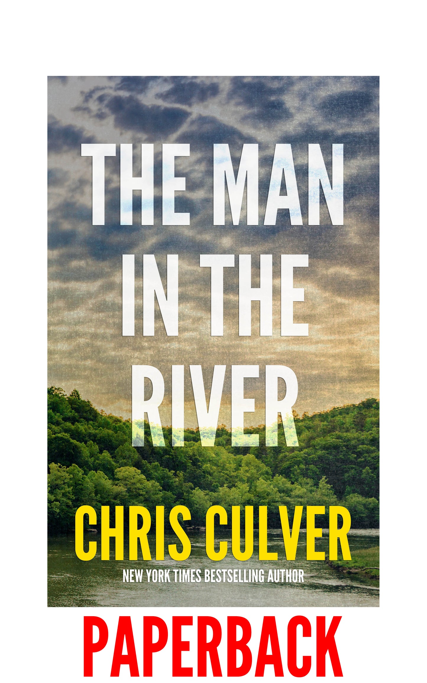 The Man in the River - eBook